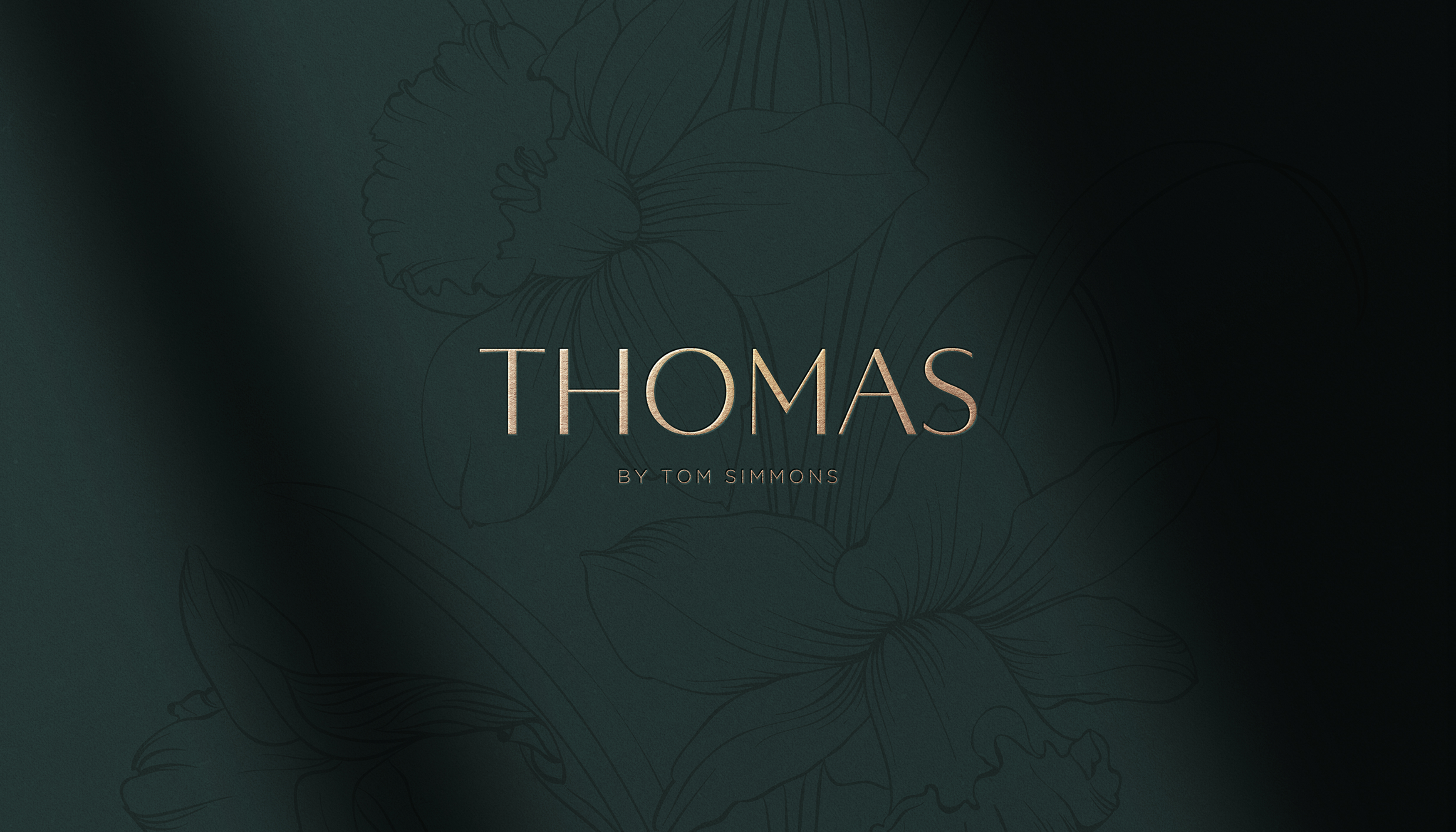 Cover image from THOMAS by Tom Simmons
